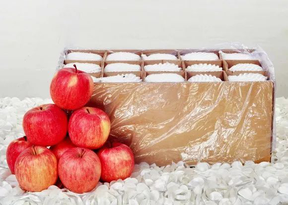 農(nóng)藥殘留-GY-NC10農(nóng)藥殘留檢測儀